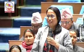 विद्यार्थीलाई निराश बनाई विदेश पलायनको ढोका खोलियोः ज्ञानु बस्नेत