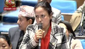 मिडिया काउन्सिल विधेयक राष्ट्रियसभामा प्रस्तुत