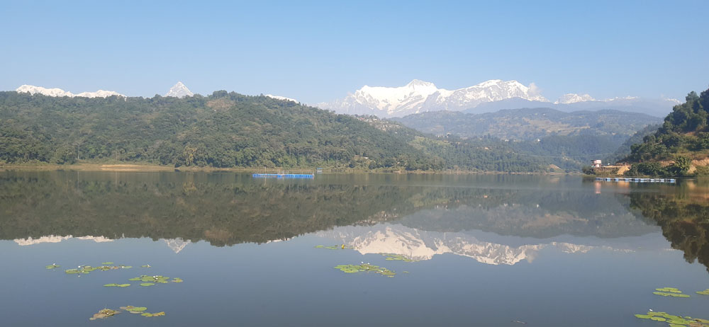 पाहुना चरालाई वार्षिक ५० लाखको माछा खुवाउँदै रुपाताल image