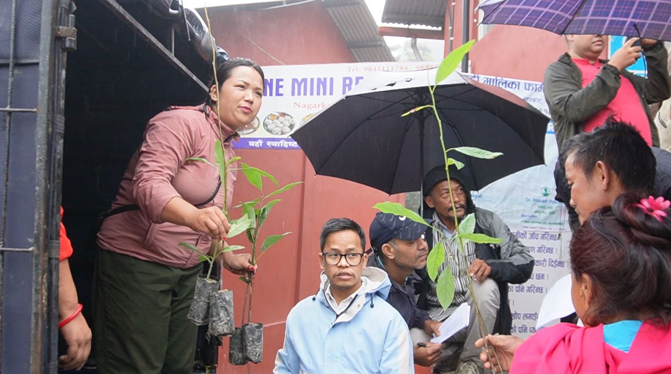 ‘चाँगुनारायण सिटी एभोकाड़ो सिटी अभियान’ नगरकोट पुग्यो, भ्रमण वर्ष लक्षित क्रियाकलाप बढ्दै image