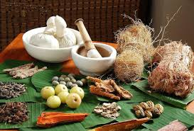 काँकडभिट्टाबाट आठ करोडभन्दा धेरैको जडीबुटी निर्यात