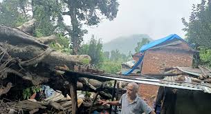 रुख ढल्दा सोलुखुम्बुको गाउँपालिका कार्यालय भवनमा क्षति