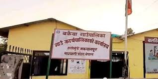 बकैया गाउँपालिकाले एसईईको झुठो विवरण सार्वजनिक गरेको खुलासा