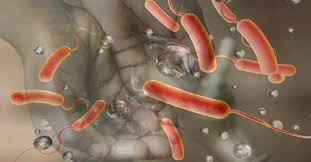 ललितपुरमा १६ वर्षीय बालकमा हैजा पुष्टि image