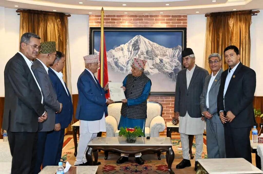 स्वार्थीको मिलन विन्दुमा सानादलहरू हेरेको हेरै