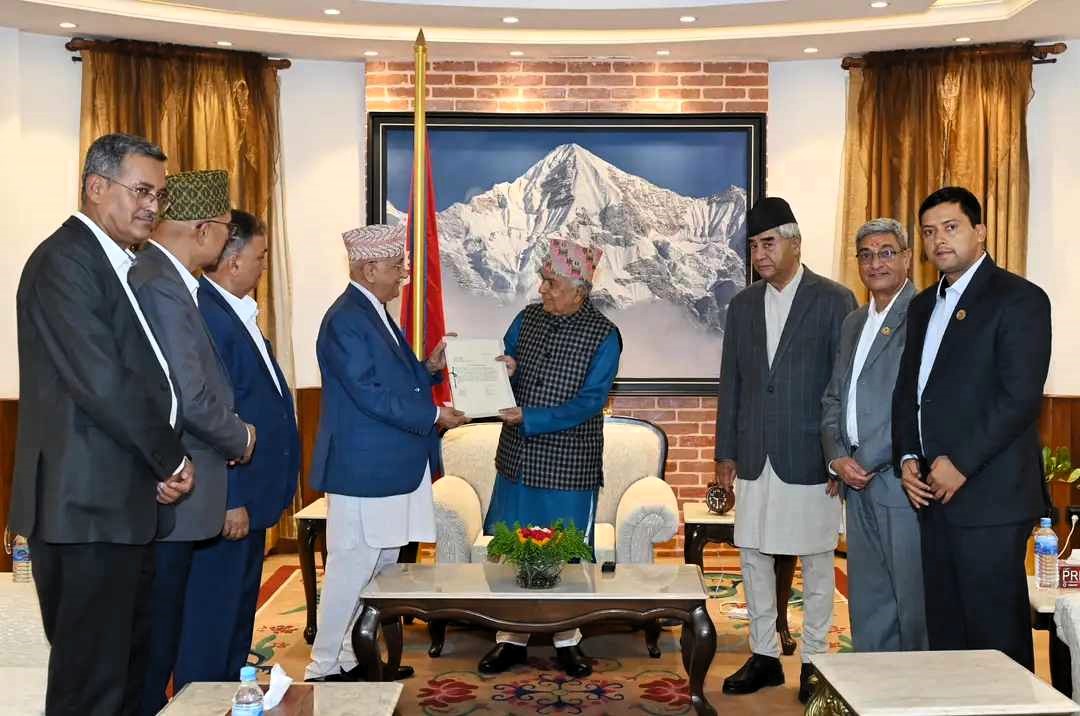 स्वार्थीको मिलन विन्दुमा सानादलहरू हेरेको हेरै image