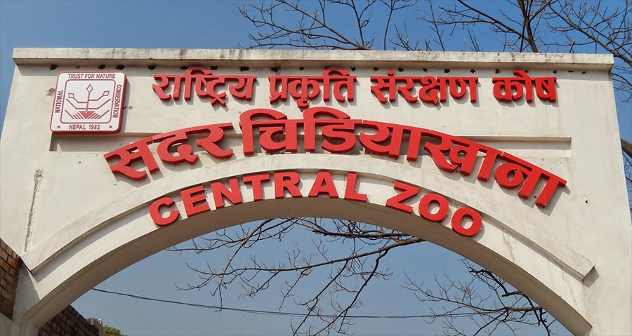 आज सदर चिडियाखानामा प्रवेश शुल्क मात्रै ७५ रुपैयाँ