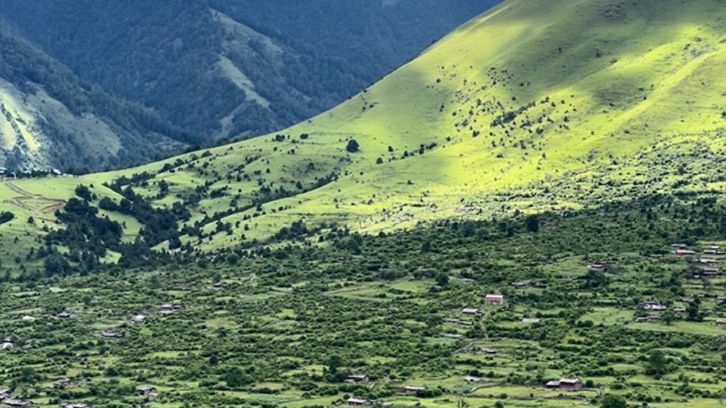 उज्यालो पर्खिरहेको निसेलढोर