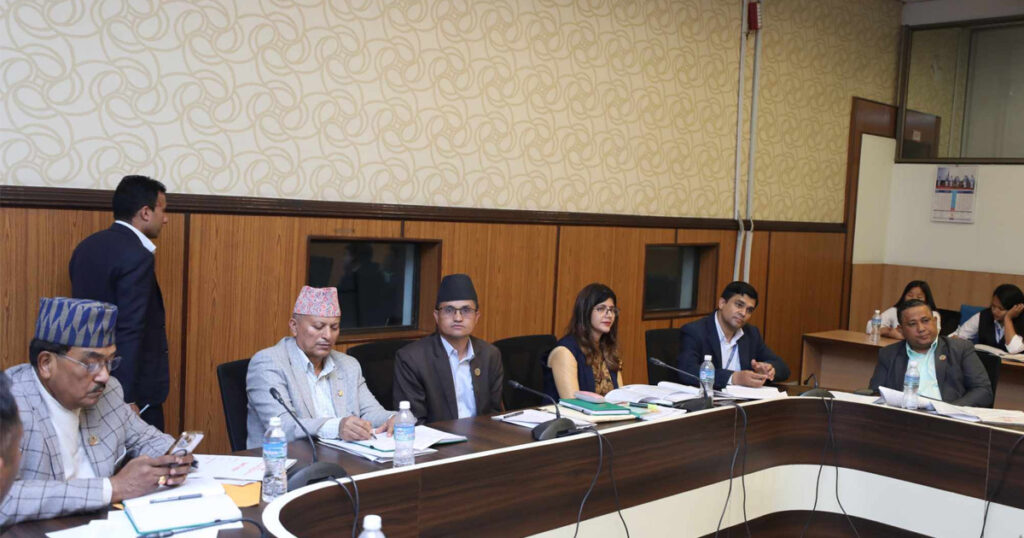 रवि लामिछाने सहित २६ जनासँग सोधपुछ गर्दै सहकारी छानबिन समिति