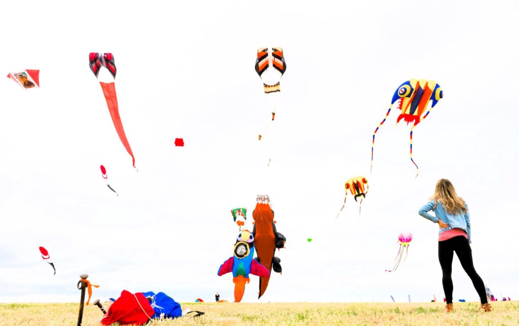 हवाई सुरक्षाः ड्रोन र बेलुन नउडाउन आग्रह