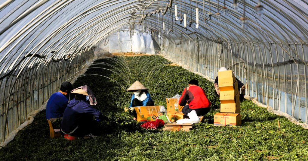 कोरियामा एक लाख पाँच हजार पाँच सय नेपाली कामदार