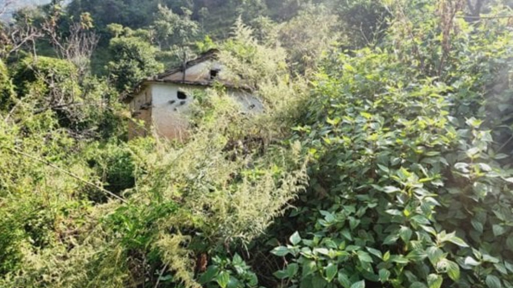 मलामीसमेत नभेटिने गरी रित्तिएको गडीगाउँमा वनमाराको राज image