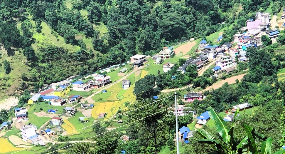 सुन्दर अग्लुङ्गफेदी image