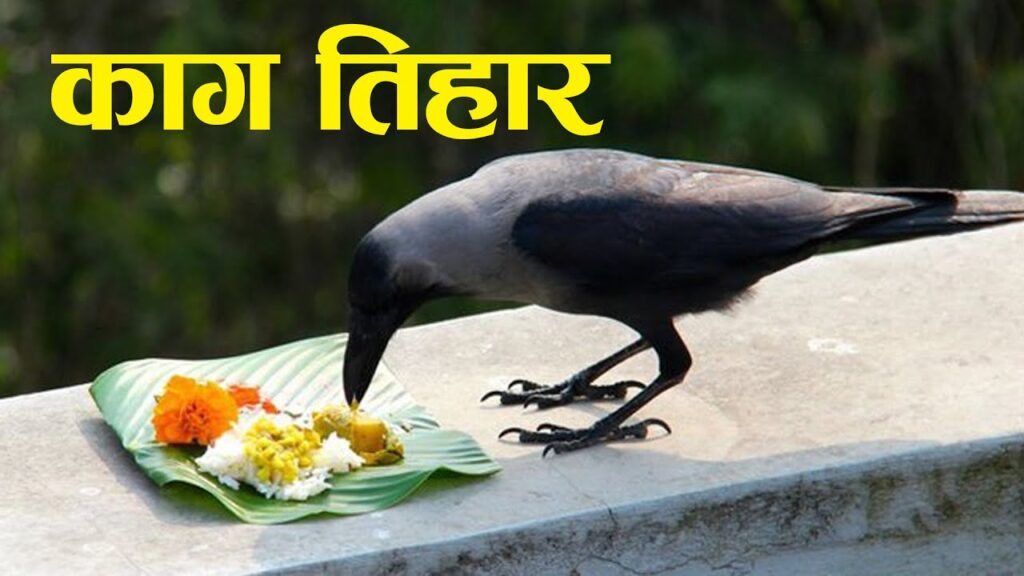 आज काग तिहार