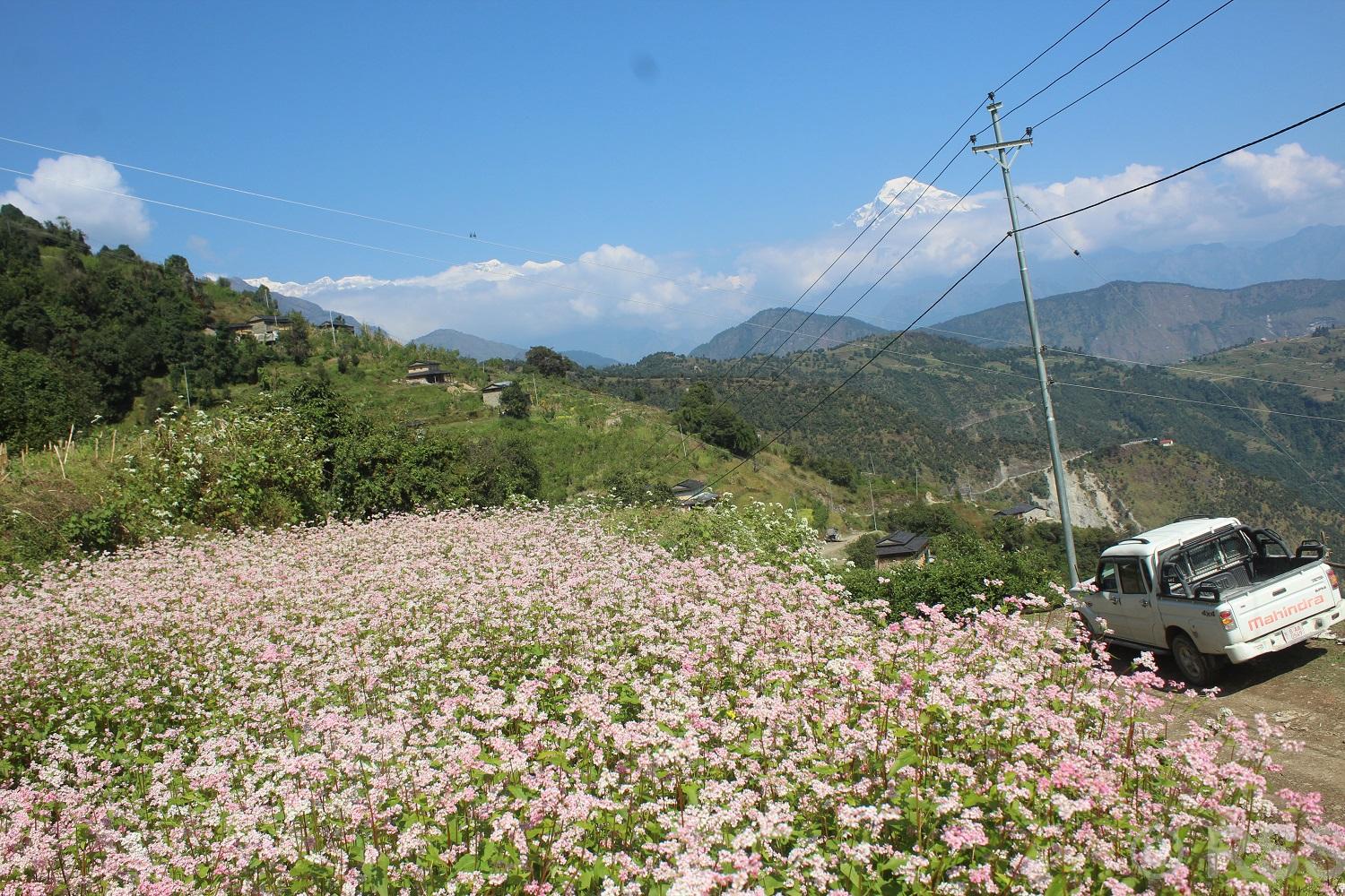 म्याग्दीका ६ सय घरमा विद्युत् सुविधा विस्तार image