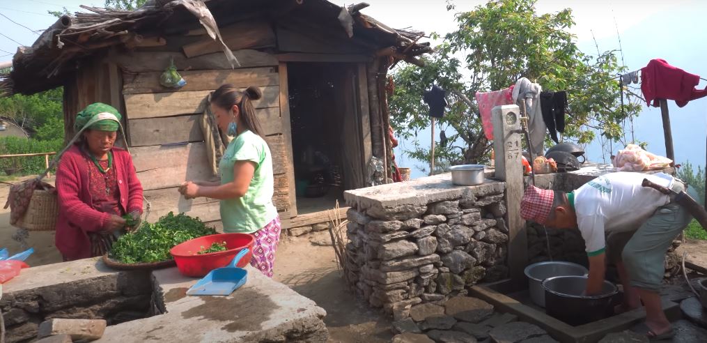 काउली र सागको मूल्य घट्यो