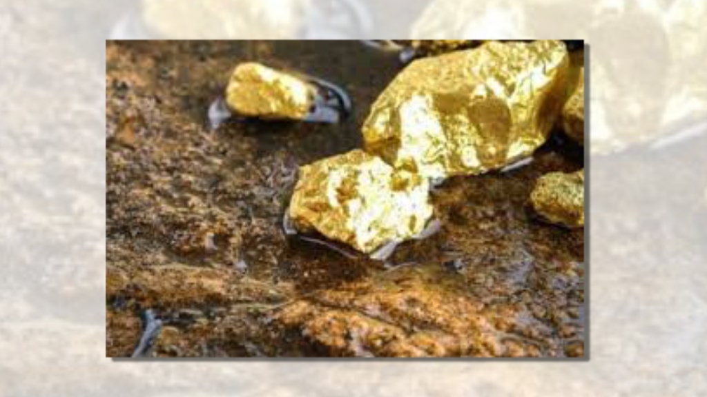 गत साता दक्षिण अफ्रिकाको सुनखानीमा प्रवेश गरी फसेकाको उद्धार