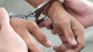 सिन्धुलीका युवकको मिर्गौला तस्करी प्रकरणमा एकजना पक्राउ image