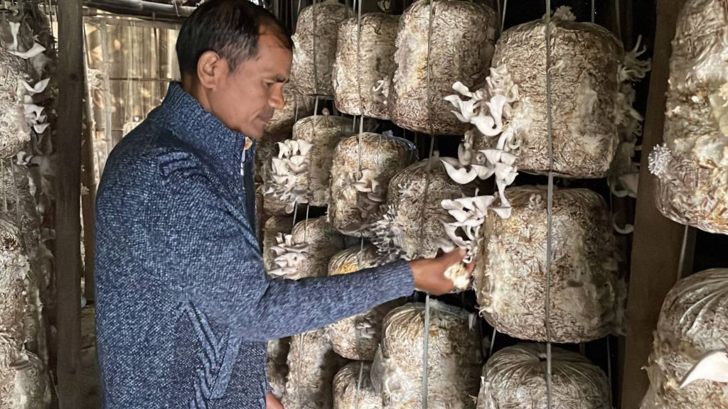 सामाजिक सञ्जालको सदुपयोग गर्दा