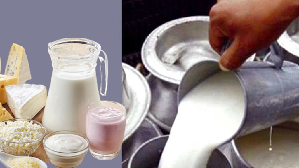 दूध र दुग्धजन्य पदार्थबाट बनेका परिकारको प्रयोग गर्न माग