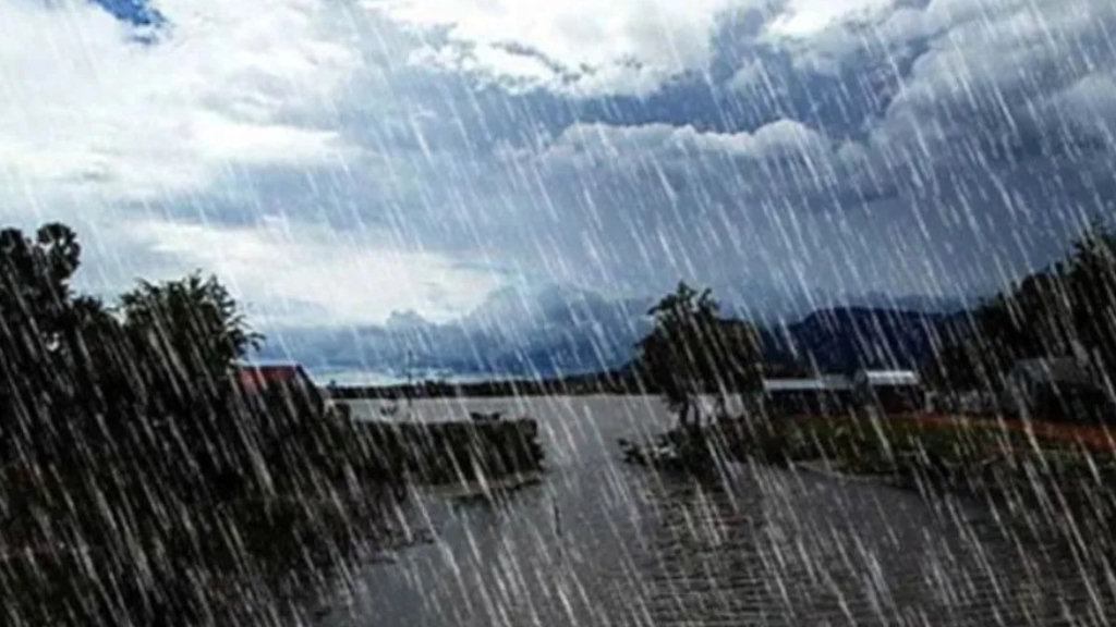 औसत ९ दशमलव ५ प्रतिशत मात्रै पानी परेकाले, कृषीबालीमा समस्या