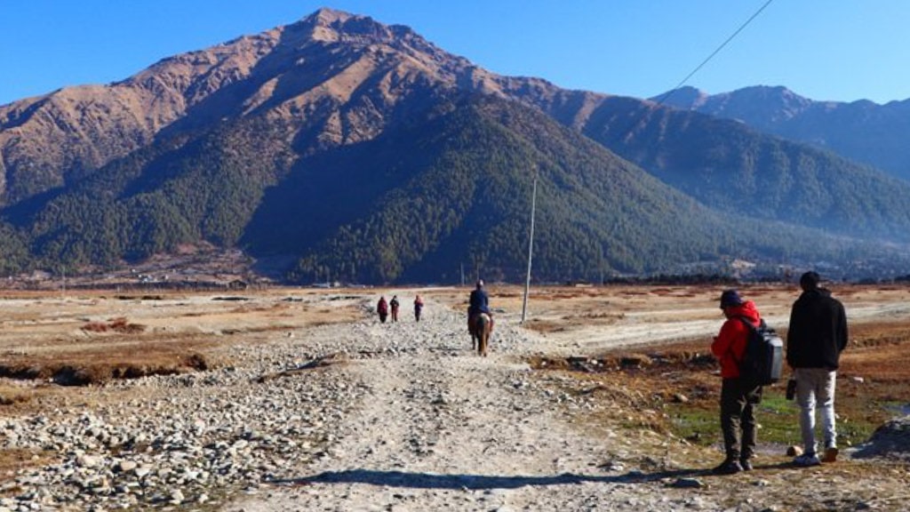 तराईसँग जोडियो ढोरपाटन, बागलुङवासीका लागि अवसर image