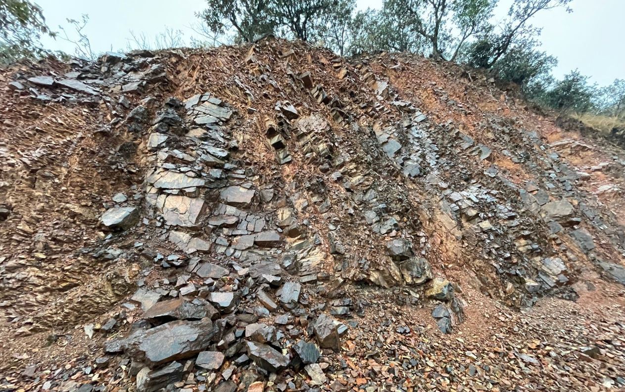 सरकारको ‘ड्रिम प्रोजेक्ट’ धौवादी फलाम खानी image