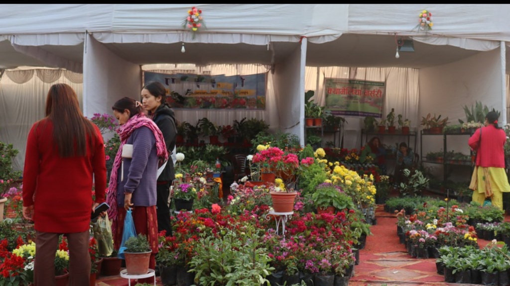 सौखका लागि रोपेको फूल बन्यो आम्दानीको माध्यम