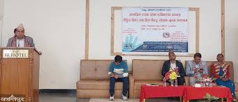 ७० प्रतिशत घरेलु हिंसा घरभित्रै : मन्त्री तिमिल्सिना