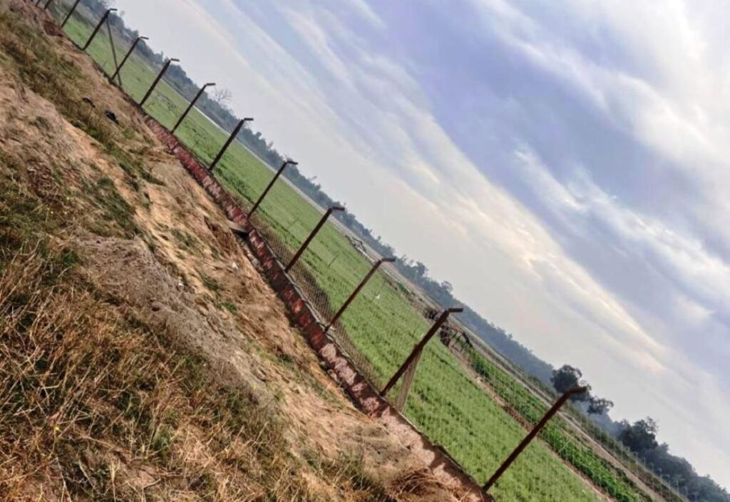 जंगली जनावरको आतङ्क रोक्न ९५ लाख खर्चेर तारजाली जडान
