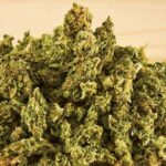 three-indians-arrested-with-11kg-marijuana-tia