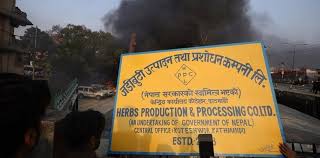 सञ्चो कारखाना तोडफोड र आगजनी गरेको आरोपमा थप एक जना पक्राउ