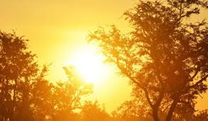 असामान्य रूपमा तातो ग्रीष्म ऋतु आउने मौसम पूर्वानुमानकर्ताको चेतावनी