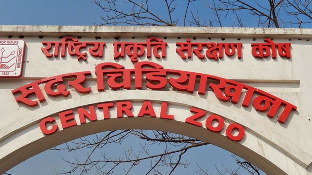 चिडियाखानामा सन्ध्याकालीन सेवा शुरू भएपछि पर्यटकको सङ्ख्या बढ्यो