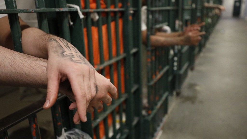 निर्दोष बालबालिकामाथि अत्याचारविरुद्धको अन्तर्राष्ट्रिय दिवस