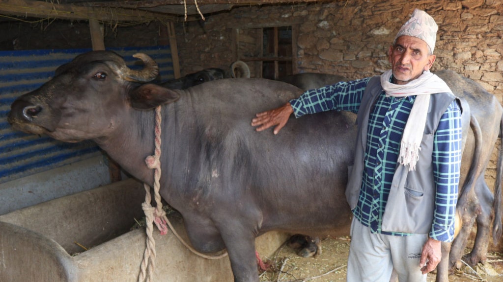 दूध र मह बिक्रीबाट मनग्य आम्दानी image