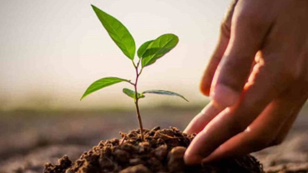सरकारको हरियाली अभियान सुरु, २० वर्षमा ६० करोड बिरुवा रोपिने