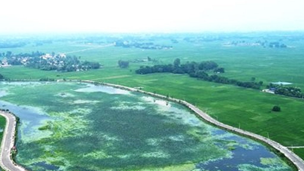 स्थानीय र आगन्तुक चराको गन्तव्य नेपालगञ्जको कान्ति ताल image