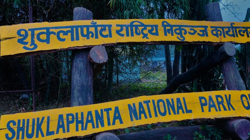 शुक्लाफाँटा राष्ट्रिय निकुञ्जमा दुर्लभ सुनौलो तोपचराको सङ्ख्या घट्यो image