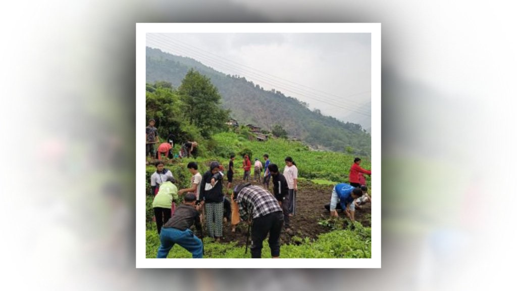 ‘धवलागिरिको इच्छा, गरिखाने शिक्षा’ image