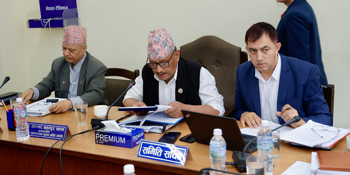 शिक्षा समितिले पारित गर्यो विद्यालय शिक्षा विधेयक, अब संसदमा पेश हुने image