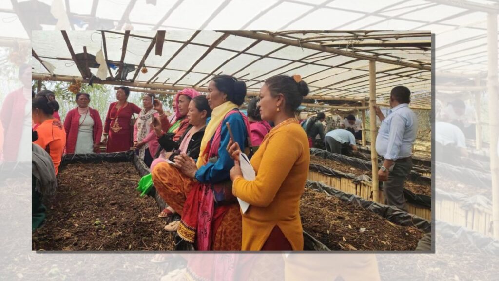 जैविकखेती प्रवर्द्धन गर्न गड्यौला मल उत्पादनमा जोड