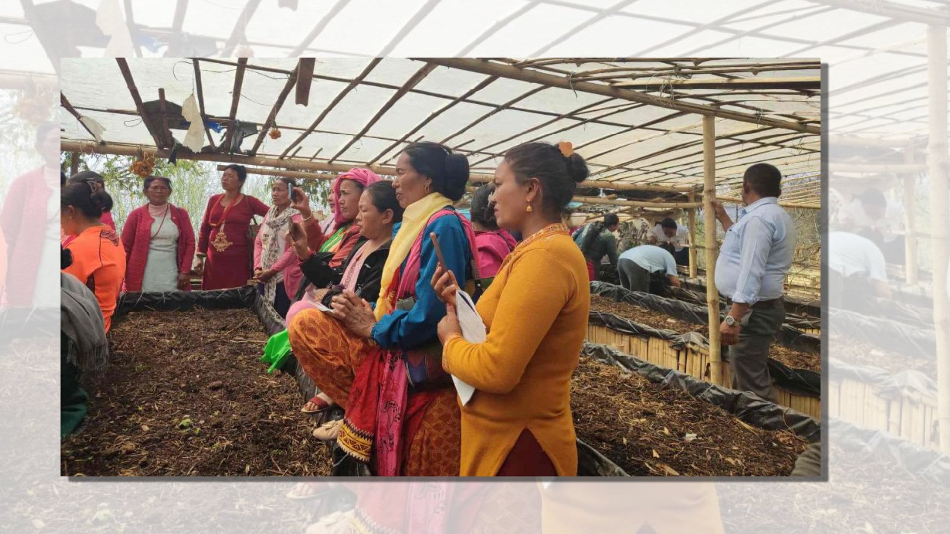 जैविकखेती प्रवर्द्धन गर्न गड्यौला मल उत्पादनमा जोड image