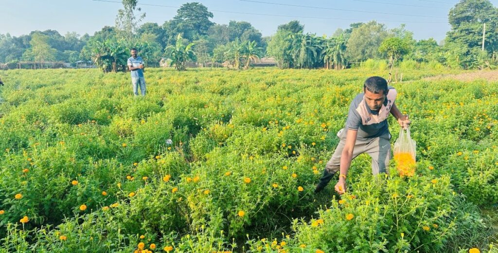 आर्थिक उपार्जनका लागि फूल व्यवसाय