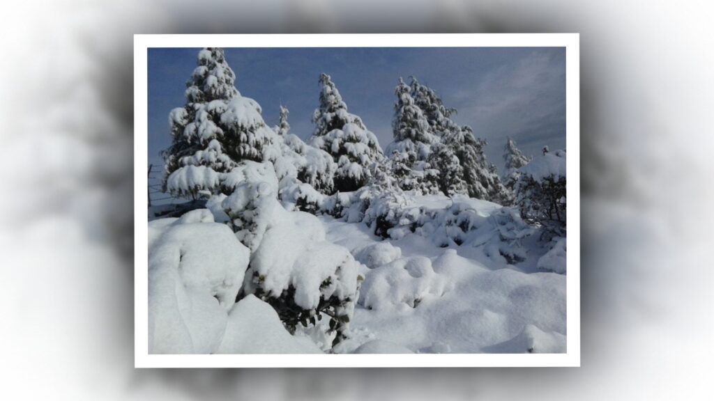 मुक्तिनाथमा ६ इन्चसम्म हिउँ जम्दा दर्शनार्थी प्रभावित