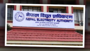 ५० युनिटभन्दा बढी बिजुली खपतमा भ्याट, उपभोक्तालाई थप आर्थिक भार पर्ने चिन्ता image
