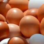 egg-price-increase-nepal-jestha-2083