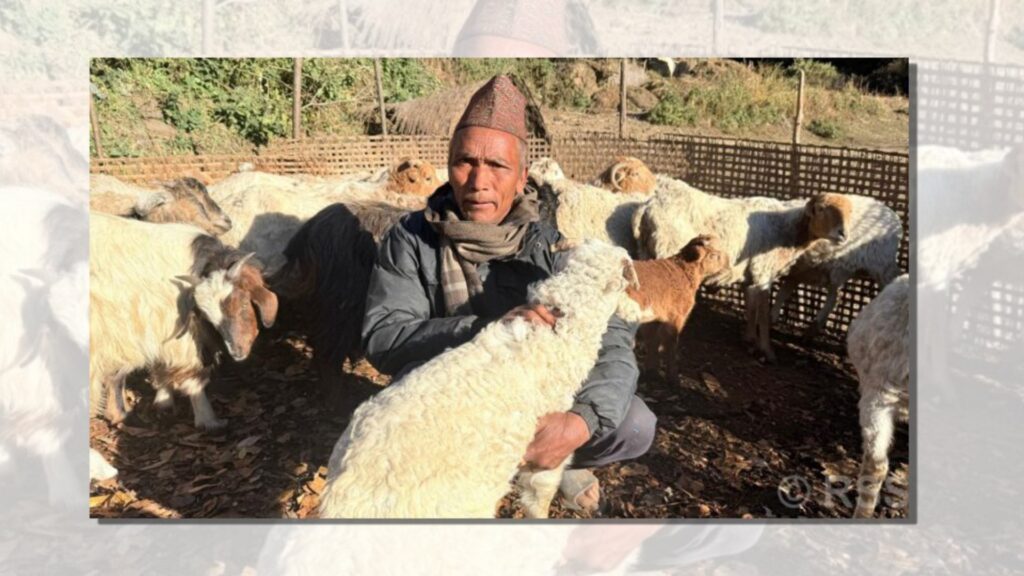 भेडागोठमा पाँच दशक बिताएका नरेन्द्रलाई पढ्न नपाएकामा पछुतो