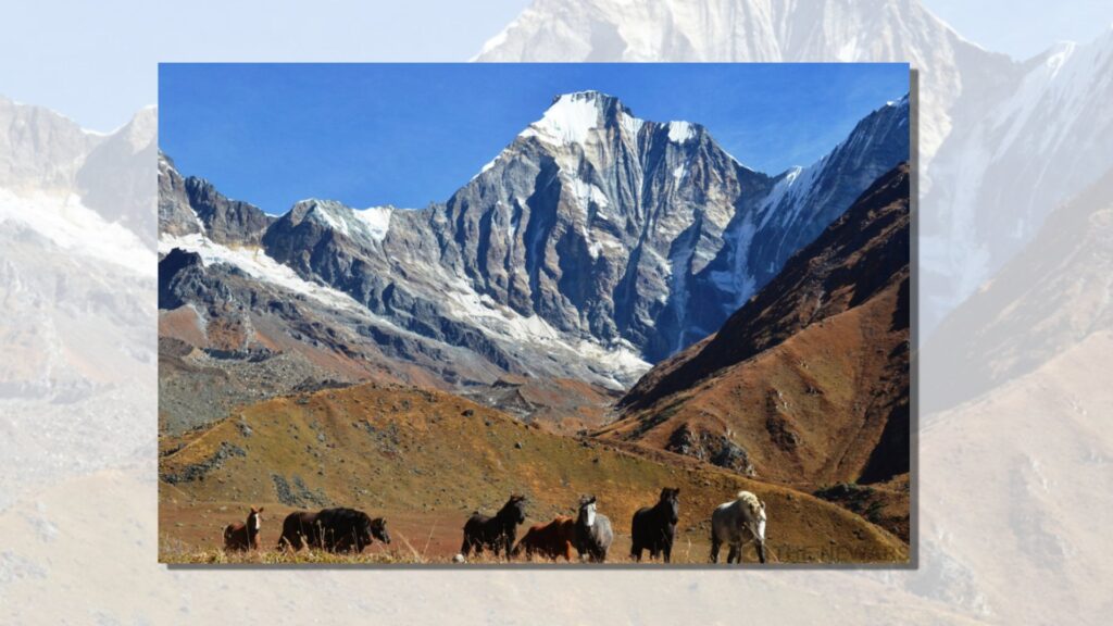 पर्यटकीय गन्तव्य बनाउने अपी हिमाल गाउँपालिकाको उद्देश्य