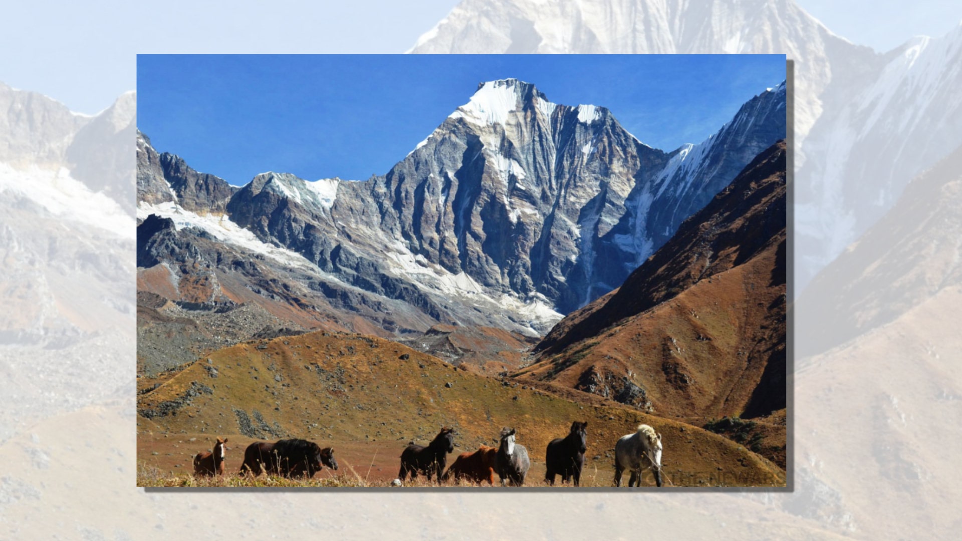 पर्यटकीय गन्तव्य बनाउने अपी हिमाल गाउँपालिकाको उद्देश्य image